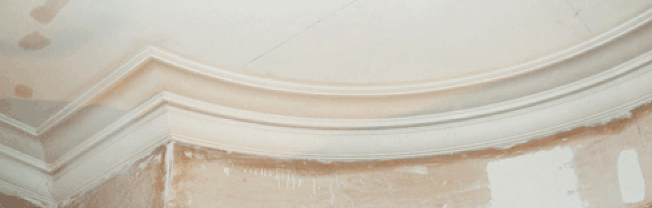 Country Manor, Surrey Plaster Coving Cornice & Ceiling Roses